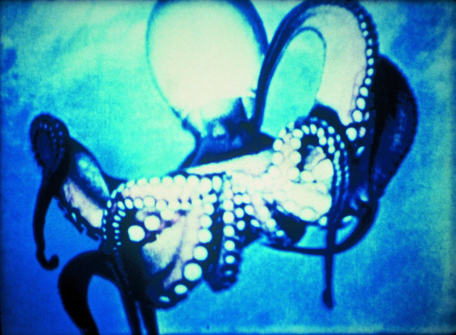 Under Water Sea Fantasy — Jack Goldstein — Exhibitions — Galerie Buchholz — Image 04