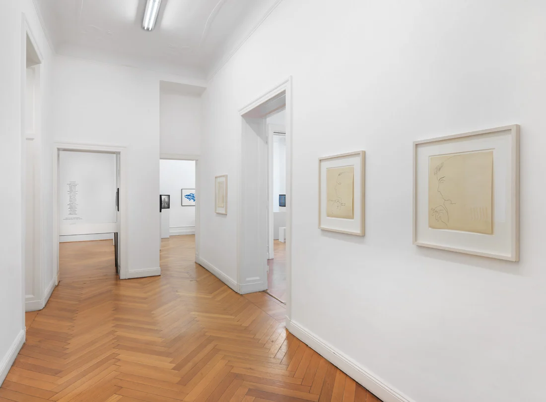 Pictures, Before and After  An Exhibition for Douglas Crimp — Daniel Buren, Charles James, Antonio Lopez, Agnes Martin, Joseph Cornell, Robert Smithson, The Cockettes, Jack Smith,... — Exhibitions — Galerie Buchholz — Image 04